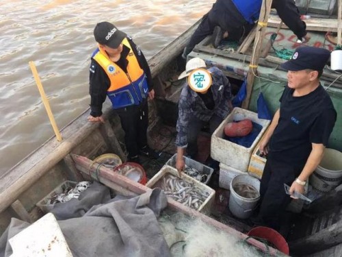 山東煙台：禁漁期非法捕撈14名嫌疑人被抓