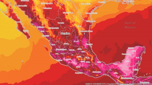 “非典型”热浪席卷墨西哥 部分地区气温将达45℃