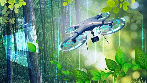 韓計劃用AI管理森林系統