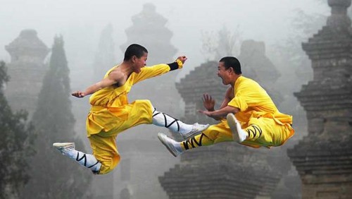 【中國優秀傳統文化武術系列】東安拳