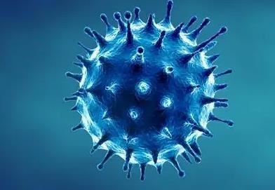 世衛組織呼籲各國繼續監測新冠病毒