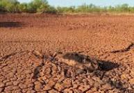 津巴布韋因嚴重旱災進入災難狀態